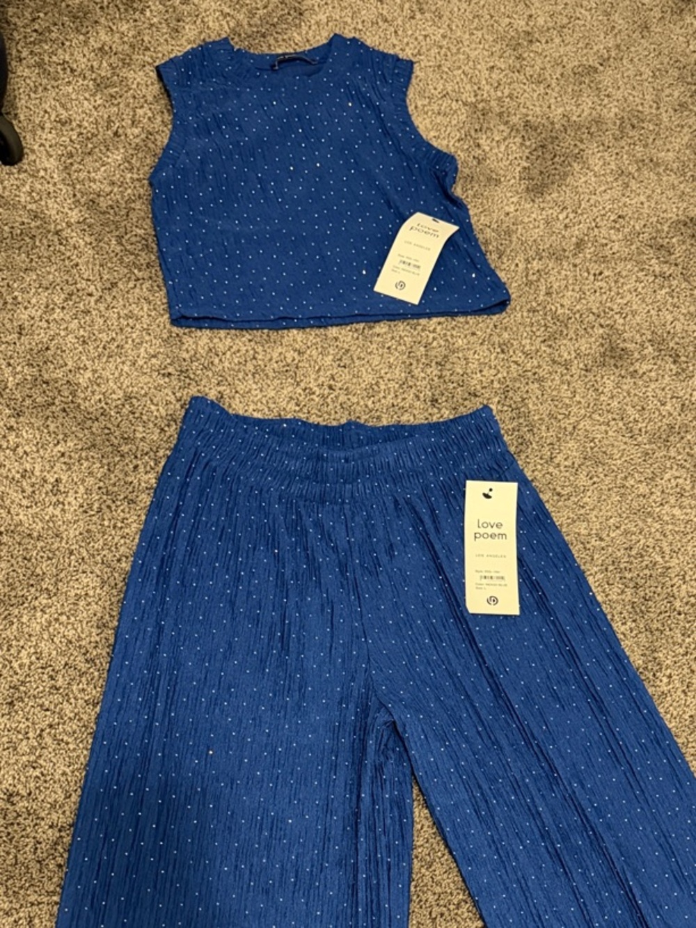 Love Poem Blue Glitter Sleeveless Crop Top & Wide-Leg Set